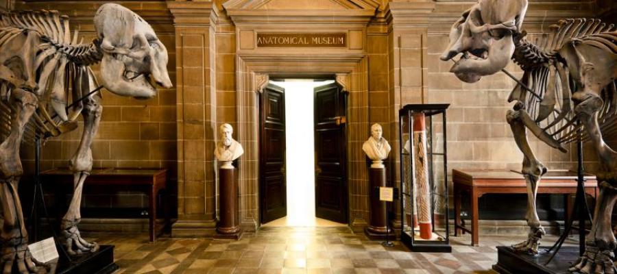 Decorative image of Anatomy Museum Entrance