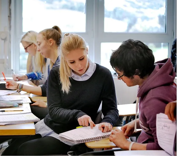 Students explaining coursework to each other.